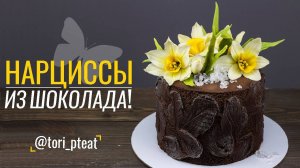 Нарциссы из шоколада. Видеоурок