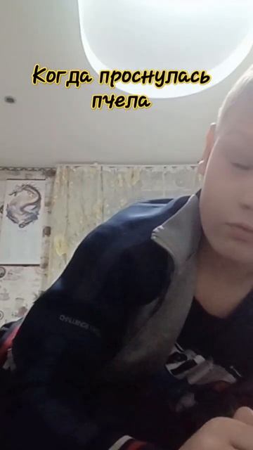 типы животных когда они просулись #memes #рекомендации смотреть онлайн