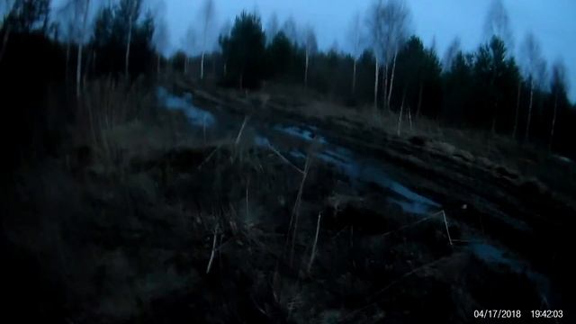 Весенняя охота на вальдшнепа "на тяге"! смотреть онлайн