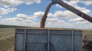 Как выбрать комбайн СК-5 НИВА?