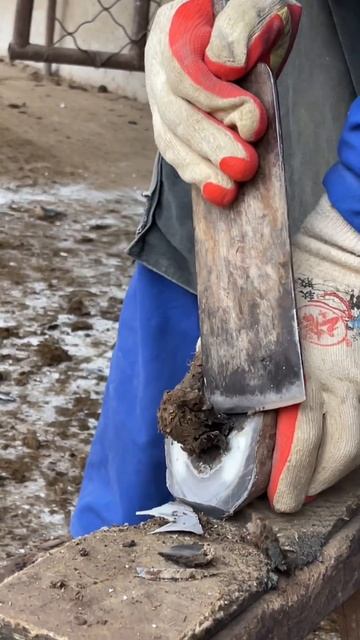 Repair donkey hoofs in the snow~⛄丨ASMR丨Donkey hoof cutting sound смотреть онлайн