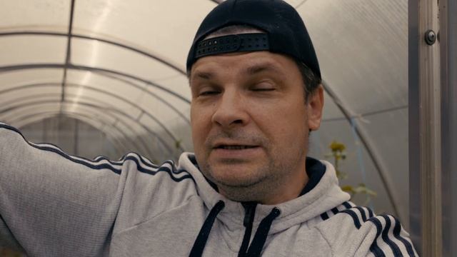 Напала грушевая плодожорка, третий день в деревне идет дождь смотреть онлайн