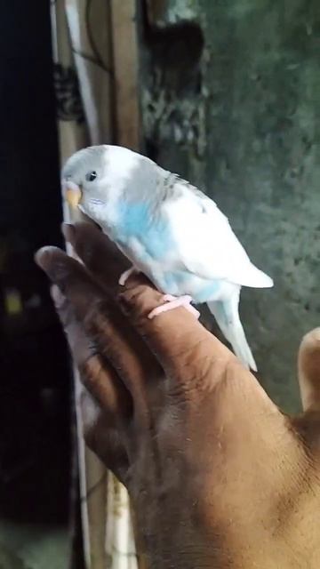 August 11, 2023 смотреть онлайн