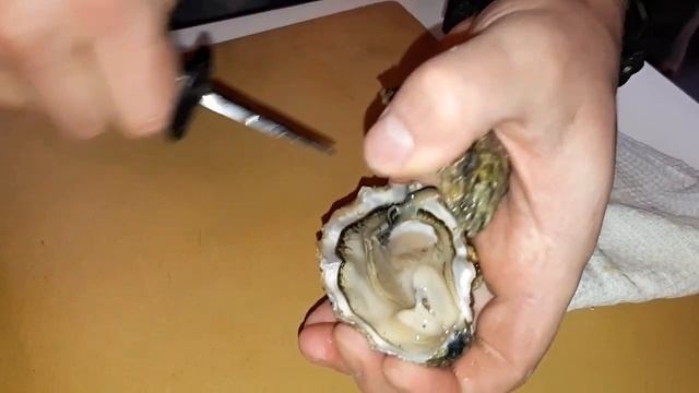 Обучение по устрицам смотреть онлайн