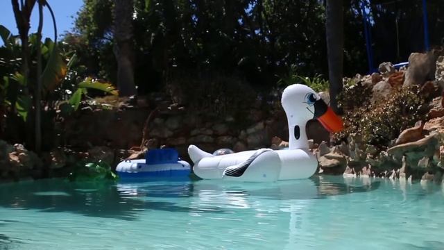 Bestway Swan rider смотреть онлайн