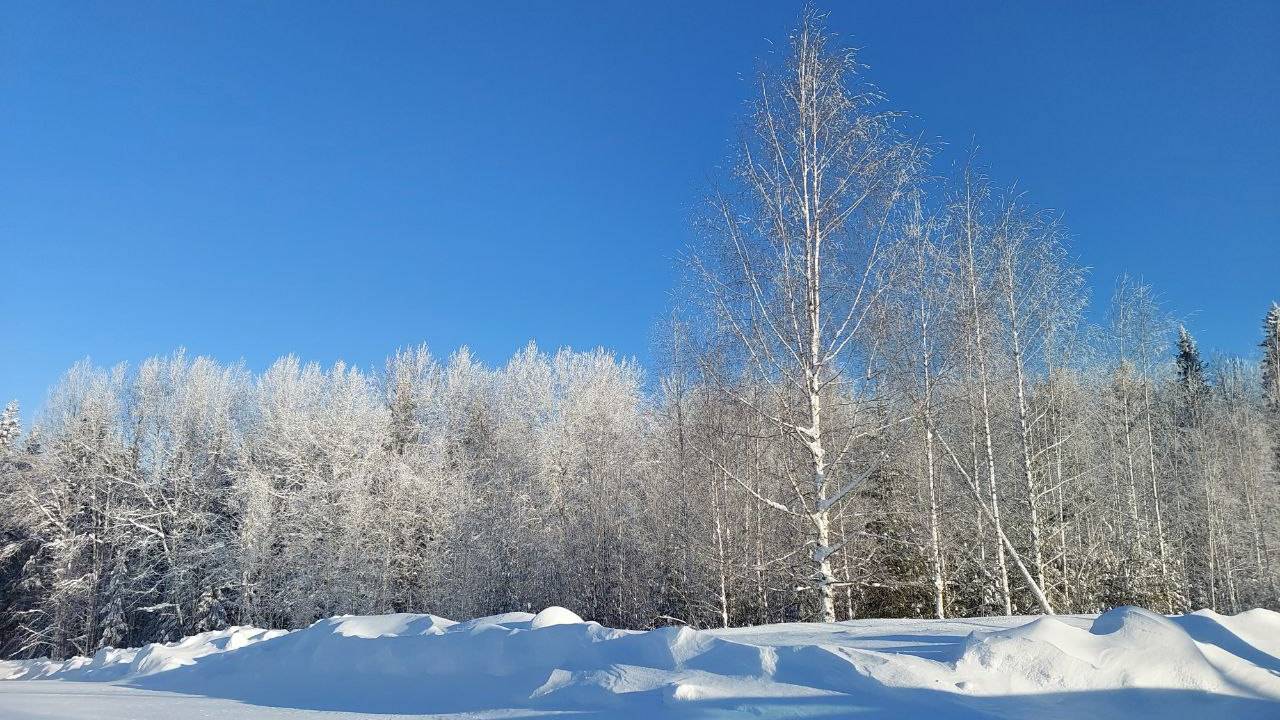 IMG_6009 смотреть онлайн