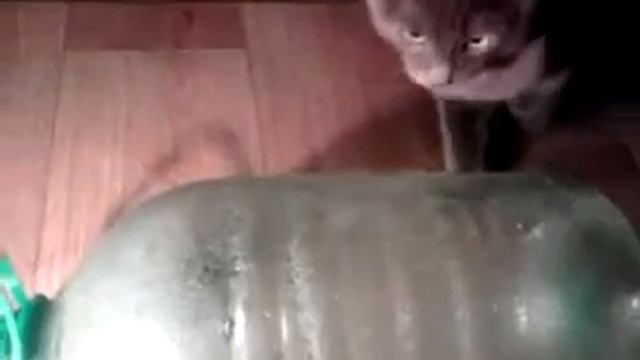 баксемельян васильевич!!!ржач смотреть онлайн