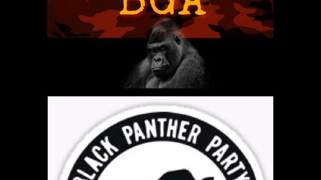 black gorilla army invites the black panther party to there platform: topic mass incarceration смотреть онлайн