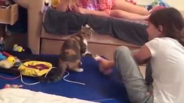 Кошка кусает Машу смотреть онлайн