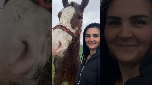 Гроз подрос! Уже 9 месяцев смотреть онлайн