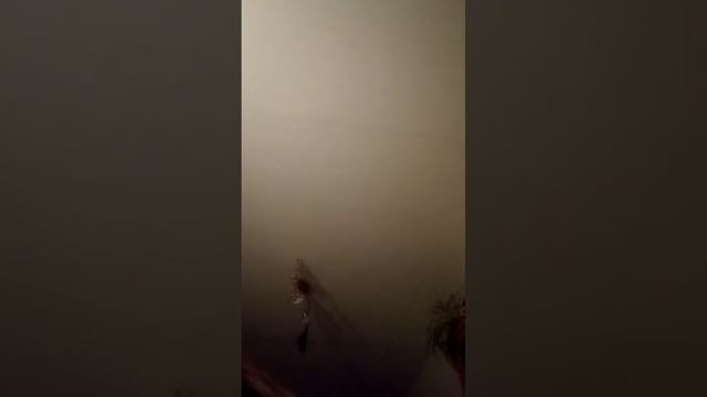 Vojta se počural do spácáku смотреть онлайн