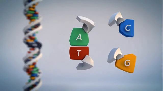 From DNA to protein - 3D смотреть онлайн