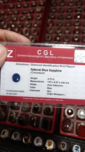 #Blue shafir afrika,color Royal blue,.IDR.375 K KTP CGL смотреть онлайн