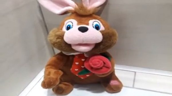 Шоколадный заяц