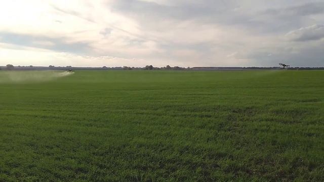 внесення інсектицидів DJI AGRAS T16 Одеська область смотреть онлайн