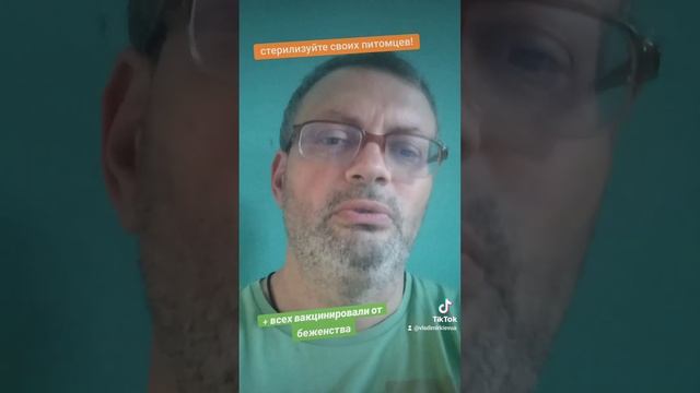 в приоритете у нас - стерилизация!!!за 9 лет стерилизованы 593 хвоста,в этом году 97 смотреть онлайн