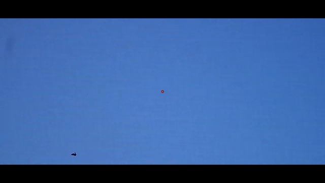 Decoying pigeons over wheat stubble | Mixed bag - BHT смотреть онлайн