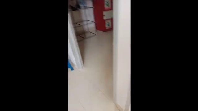 siang, sore thl 24/25/2/2024 sy Lina dirmh citra majja jg rmh dadap VTB C12/4 mau dijual смотреть онлайн