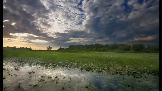 Людзі на балоце