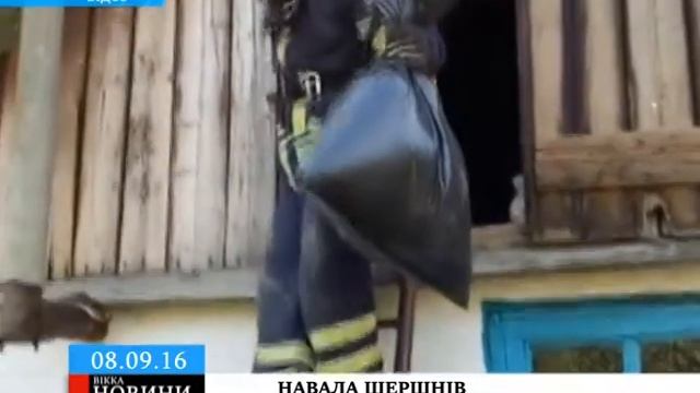 Черкаські рятувальники врятували бабусю від нашестя шершнів смотреть онлайн