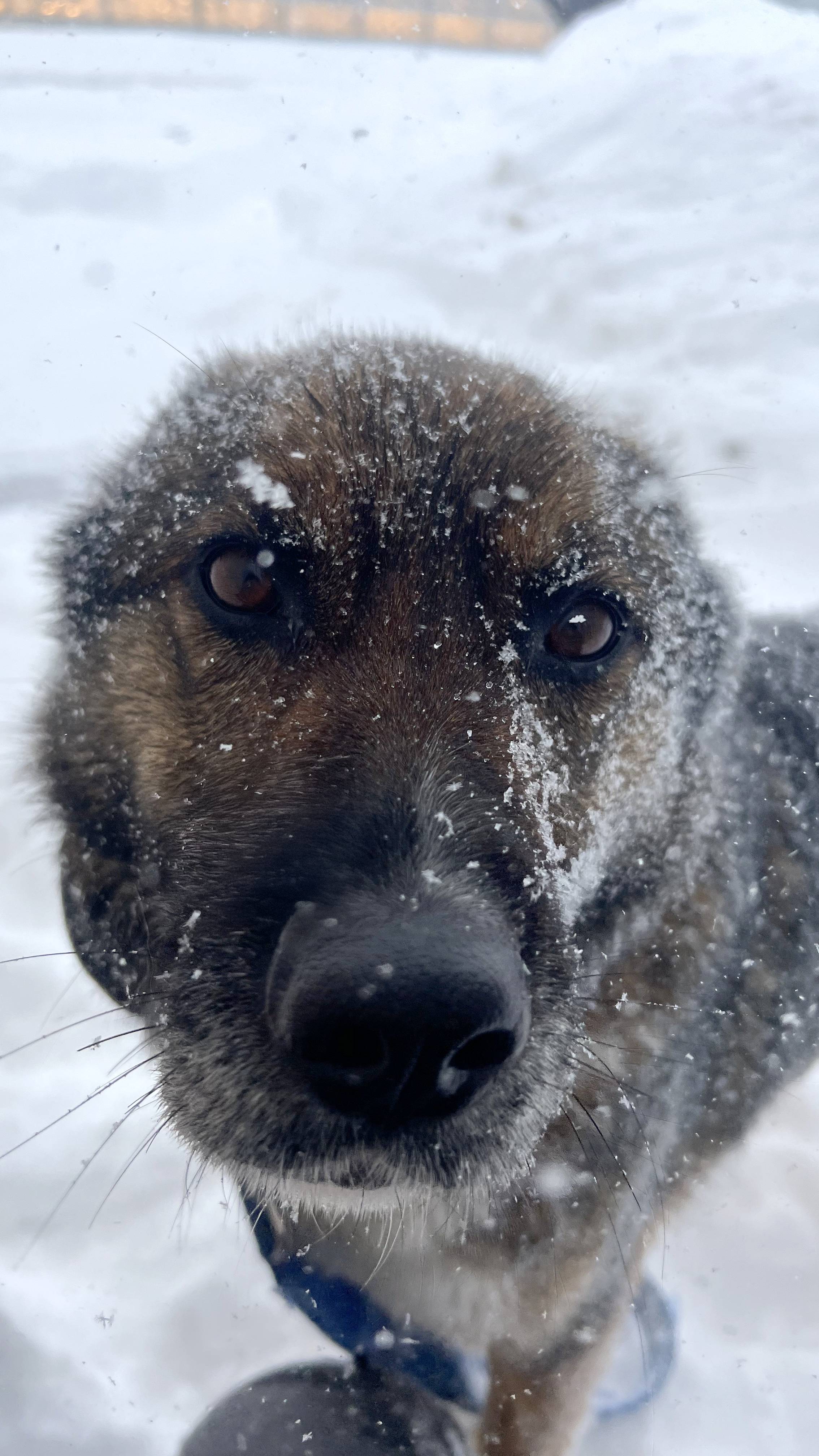 Жить он только начинает, видите-ли... 😄 смотреть онлайн
