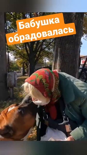 Радость бабушки #shorts смотреть онлайн