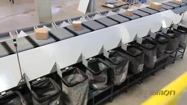 Damon Cross Belt Sorter Product Introduction Video