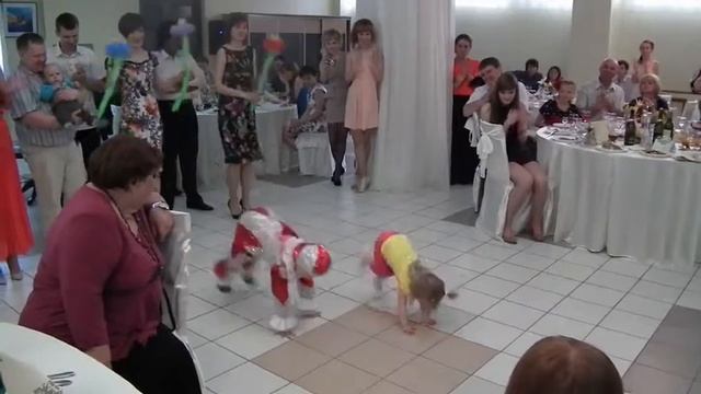 клоун и обезьянка смотреть онлайн