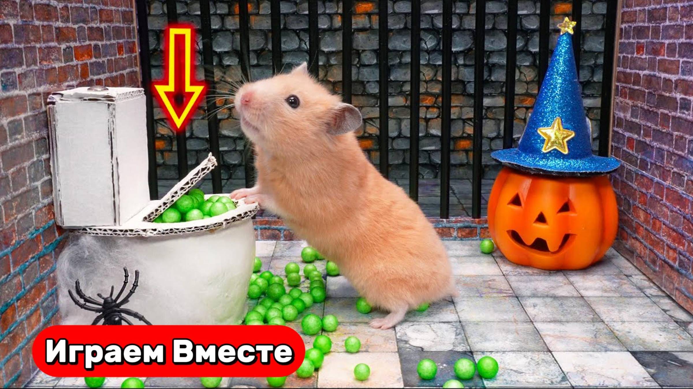 Хомяк сбегает ИЗ СЕКРЕТНОЙ ТЮРЬМЫ С ПРИВИДЕНИЯМИ ! Видео для детей