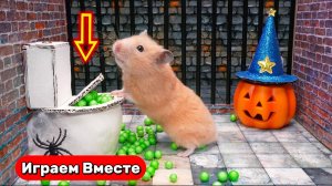 Хомяк сбегает ИЗ СЕКРЕТНОЙ ТЮРЬМЫ С ПРИВИДЕНИЯМИ ! Видео для детей