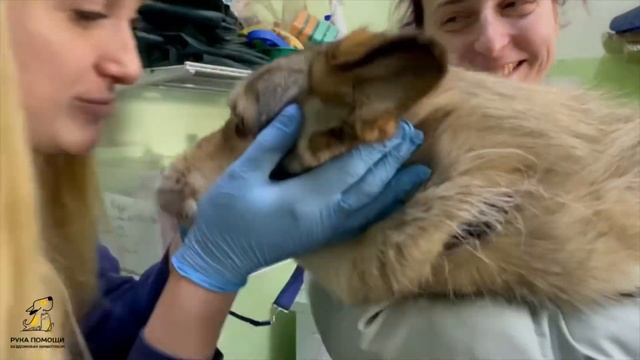 Мы знали этот день настанет, но не думали, что будет так тяжело расставаться. Будь счастлива, Мира! смотреть онлайн
