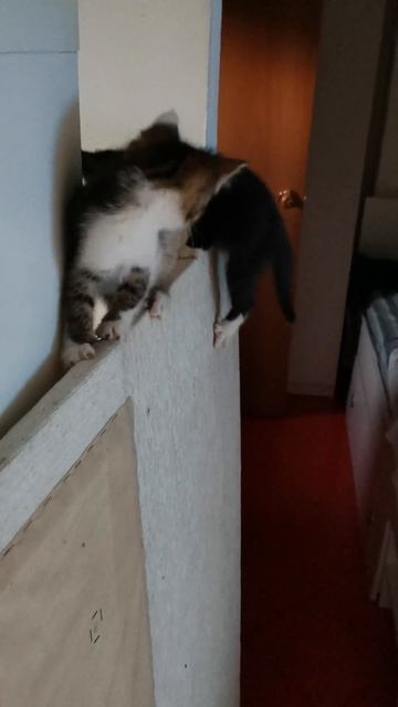ЗА МНОЙ!!! 😻🔥😻🔥😻🔥🍒 смотреть онлайн