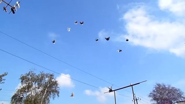 Н.г.Донбасса Белоусова Виктора смотреть онлайн