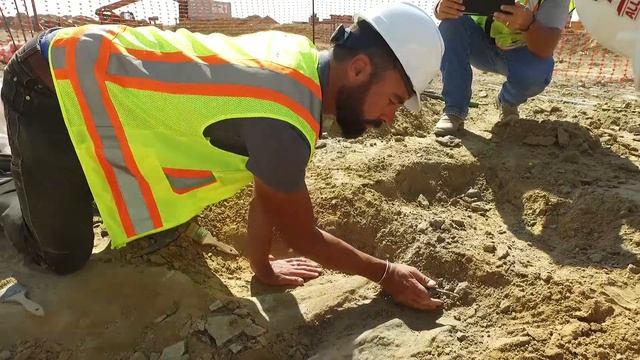 Excavation of a triceratops fossil in Thornton, Colorado смотреть онлайн