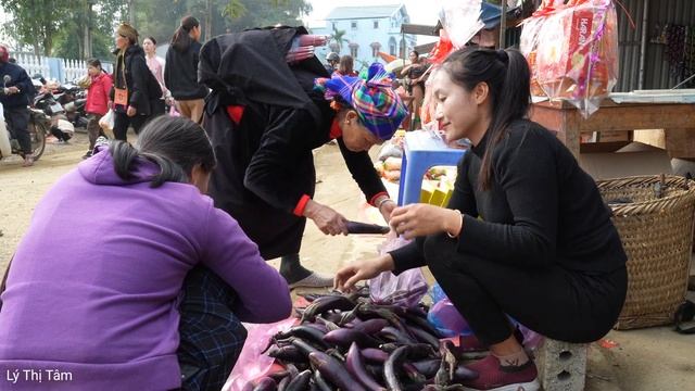 Harvesting Eggplant Goes To Market Sell - Daily Life On The Farm | Ly Thi Tam