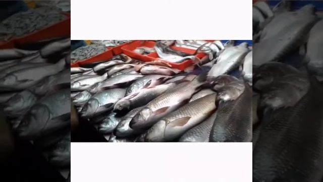 Some kitchen tips смотреть онлайн