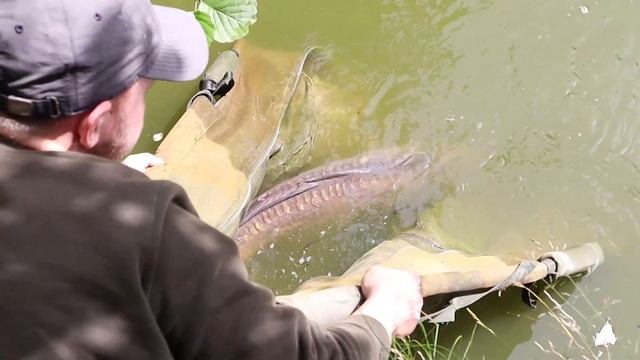 *NEW* Carp Fishing - The Devon Escape (FULL FILM) | Carp Signal смотреть онлайн