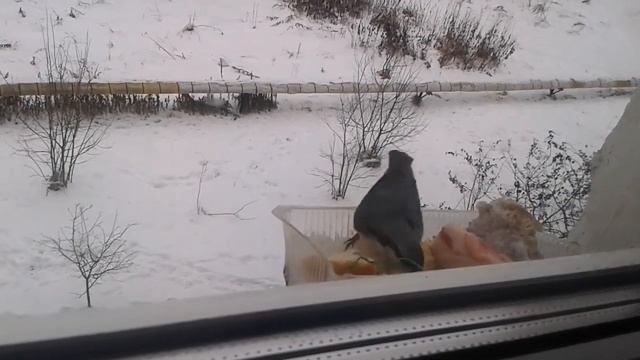 Поползень смотреть онлайн