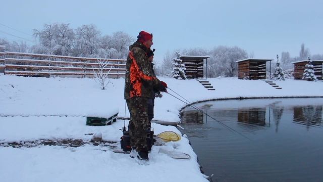 ЛОВЛЯ ФОРЕЛИ В ДЕКАБРЕ!! ПРУДОВАЯ ЛОВЛЯ!! смотреть онлайн
