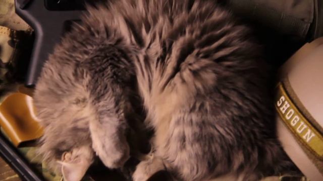 Отошел чайку попить) смотреть онлайн