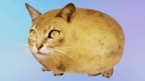 Эдит Мемы... ПЖ ЛАЙКИ!