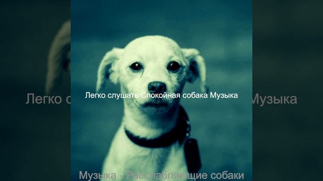 Музыка (Звуки) смотреть онлайн
