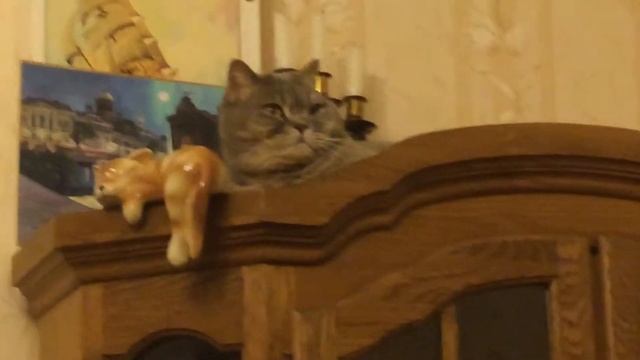 Милисента говорит "мяу" :3 смотреть онлайн