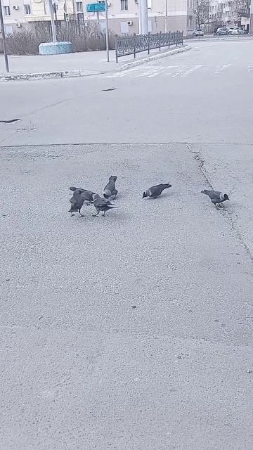 29 марта 2024 г. смотреть онлайн