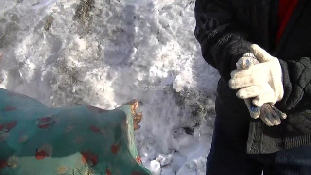 Точи ножи смотреть онлайн