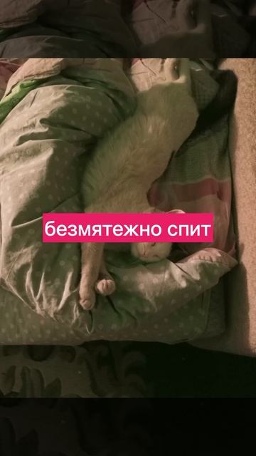 безмятежный сон смотреть онлайн