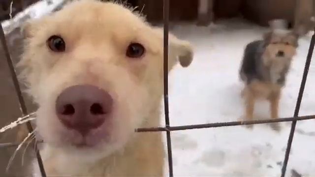 Друзья! Подписывайтесь на наш телеграмм-канал https://t.me/hochu_domoi_UI @Aleonka.K смотреть онлайн