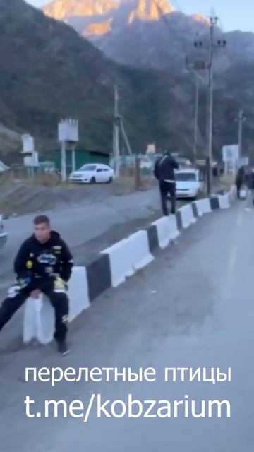 перелетные птицы shorts #shorts смотреть онлайн