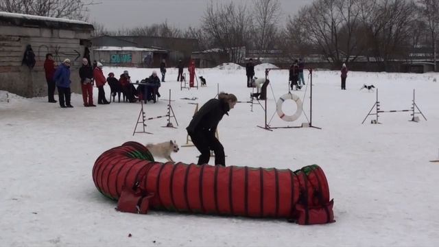 Короткова С Свао 18 03 12 смотреть онлайн
