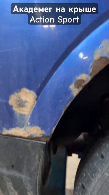 Академег и Бобры. Актион сполт смотреть онлайн